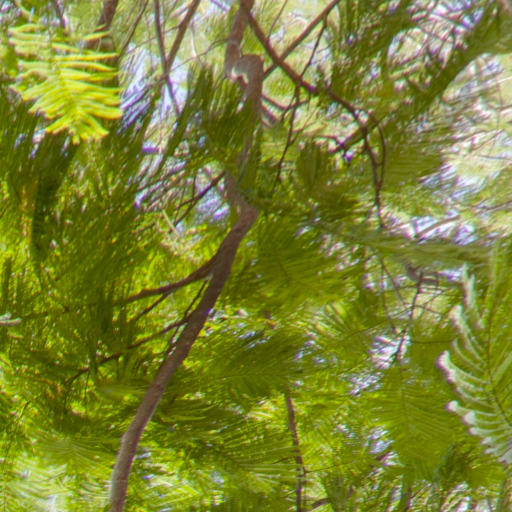 tour  Virtual Brasil 